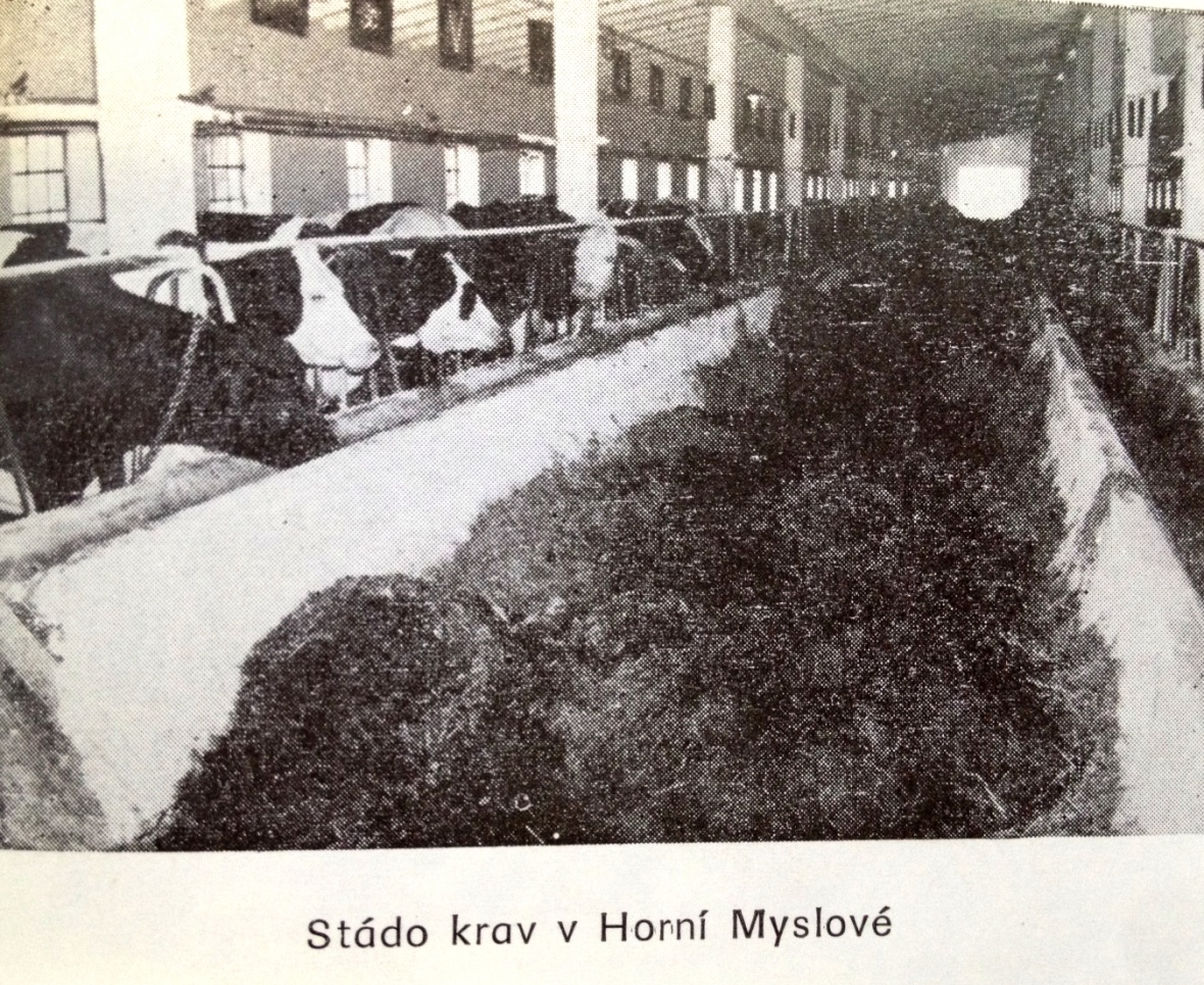 Historie