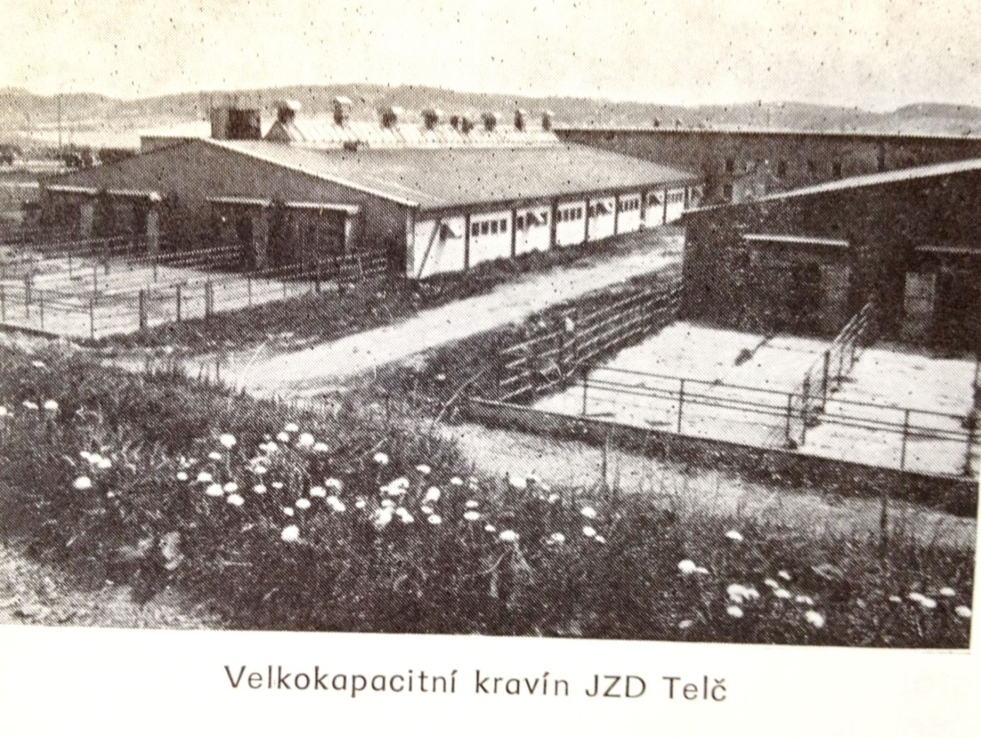Historie